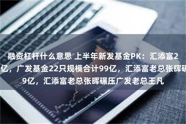 融资杠杆什么意思 上半年新发基金PK：汇添富22只规模合计195亿，广发基金22只规模合计99亿，汇添富老总张晖碾压广发老总王凡