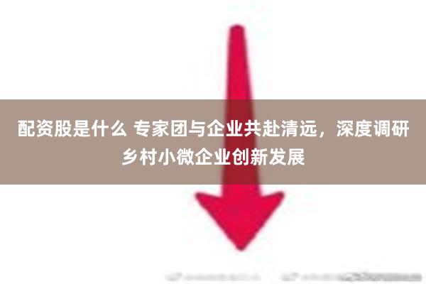 配资股是什么 专家团与企业共赴清远，深度调研乡村小微企业创新发展