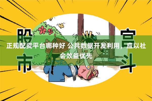 正规配资平台哪种好 公共数据开发利用，应以社会效益优先