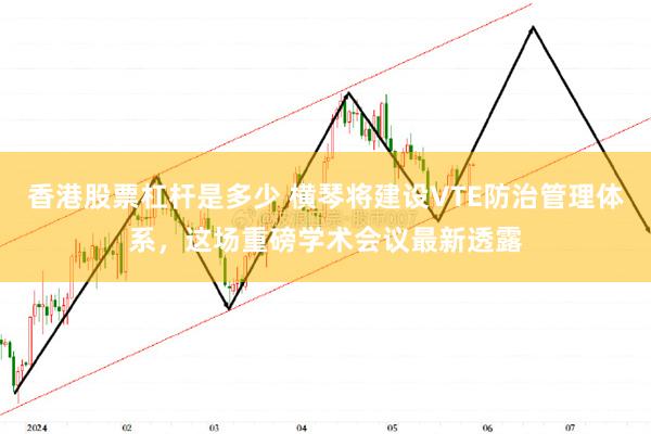 香港股票杠杆是多少 横琴将建设VTE防治管理体系，这场重磅学术会议最新透露