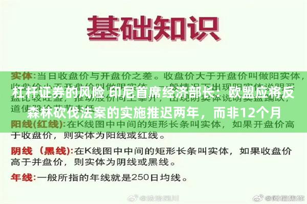 杠杆证券的风险 印尼首席经济部长：欧盟应将反森林砍伐法案的实施推迟两年，而非12个月