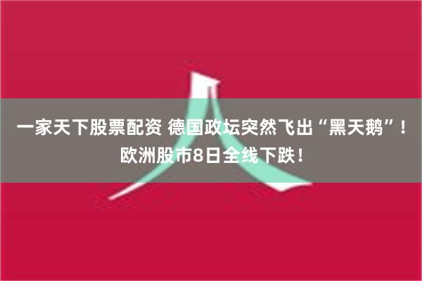 一家天下股票配资 德国政坛突然飞出“黑天鹅”！欧洲股市8日全线下跌！