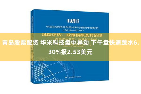 青岛股票配资 华米科技盘中异动 下午盘快速跳水6.30%报2.53美元