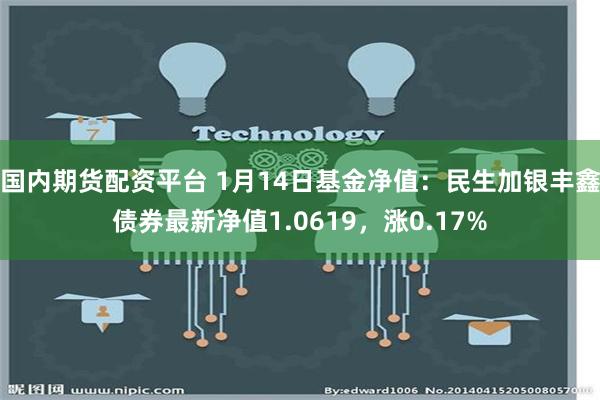 国内期货配资平台 1月14日基金净值：民生加银丰鑫债券最新净值1.0619，涨0.17%