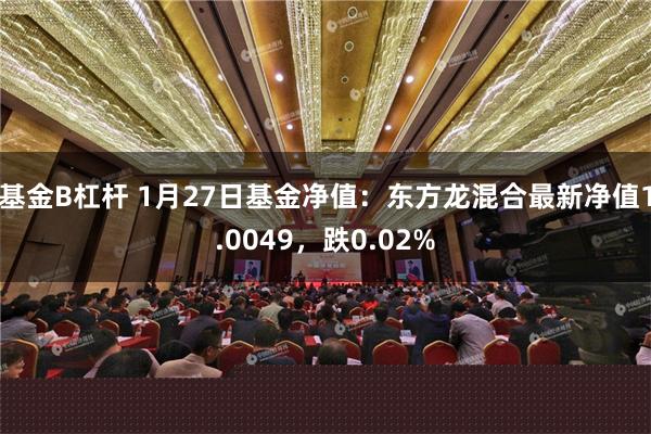 基金B杠杆 1月27日基金净值：东方龙混合最新净值1.0049，跌0.02%